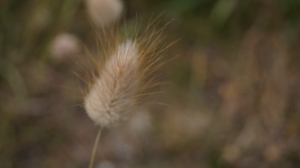 DSC04097