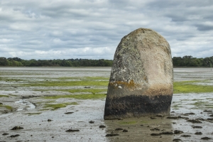 Le chemin de halage à Pont l'Abbé (8)