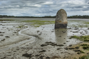 Le chemin de halage à Pont l'Abbé (9)