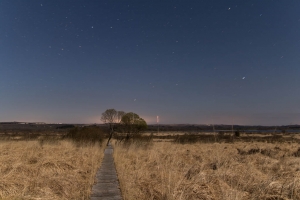 les tourbières sous la lune