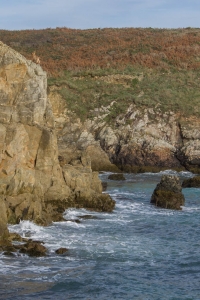 Au bord de la falaise