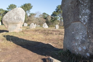 sortie Carnac