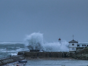 Tempête (23)