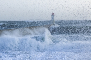 Tempête (25)