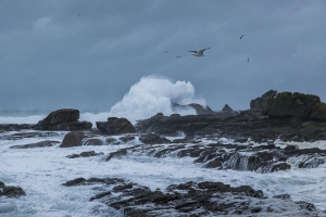 Tempête (8)