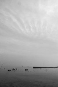 IleDeSein-50