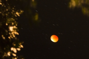 éclipse totale de lune