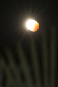 éclipse totale de lune