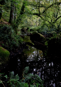 la rivière d'argent