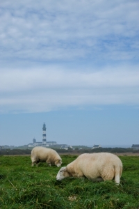 Ouessant-2