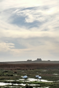 Ouessant-3