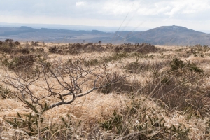 séjour dans les Monts d'Arrée