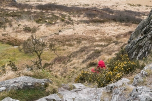 séjour dans les Monts d'Arrée