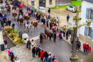 fete du cheval  beuzec-68-Modifier