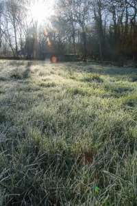 Premier jour de givre