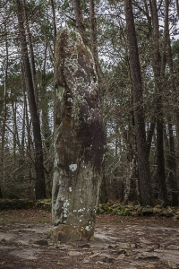 Carnac et Quiberon (12)