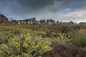 Carnac et Quiberon (9)