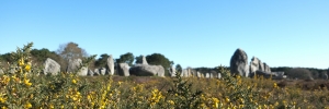 Sortie_Carnac