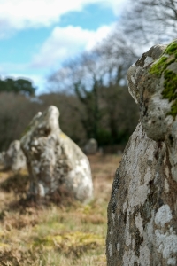 Sortie_Carnac-4