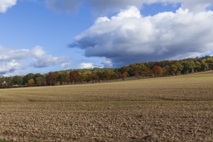 Brocéliande