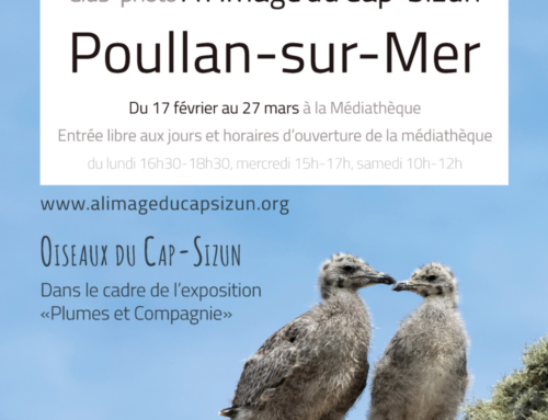 Expo à la médiathèque de Poullan-sur-Mer