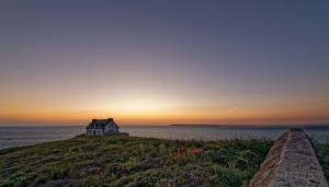 _HOC0229_Nik-2