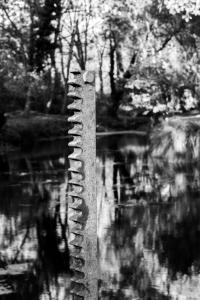 paysage n&b-6