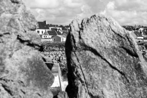 paysage n&b-5