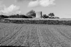 paysage n&b-7
