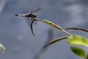 _MG_8020-01