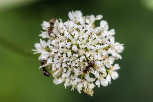 _MG_8054-01