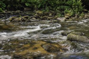 Gorges du Stangala Quimper (2)