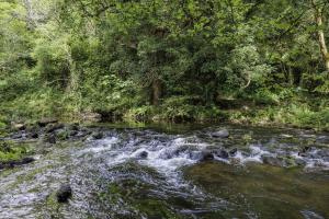 Gorges du Stangala Quimper (1)