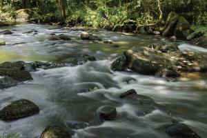 Gorges du Stangala Quimper (11)