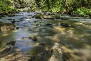 Gorges du Stangala Quimper (9)