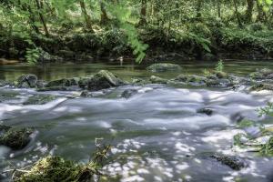 Gorges du Stangala Quimper (4)