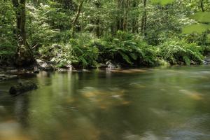 Gorges du Stangala Quimper (8)