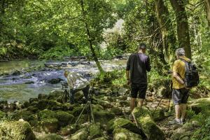 Gorges du Stangala Quimper (6)