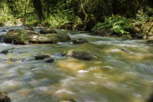 Gorges du Stangala Quimper (10)