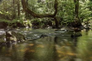 Gorges du Stangala Quimper (7)