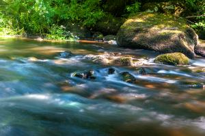 EYN_6218-2