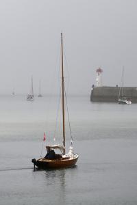DSC_0564net