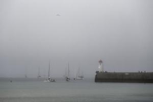 DSC_0575net