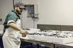 Poissonnerie Douarnenez (6)