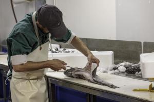 Poissonnerie Douarnenez (11)