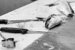 poissons-6