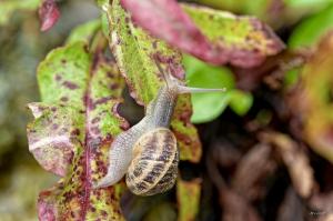 _08-19-2025_13524DSC_0076