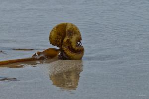 _08-19-2025_13515DSC_0067