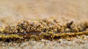 _08-19-2025_13537DSC_0089_Nik