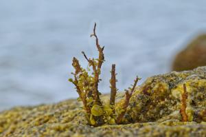 _08-19-2025_13485DSC_0037